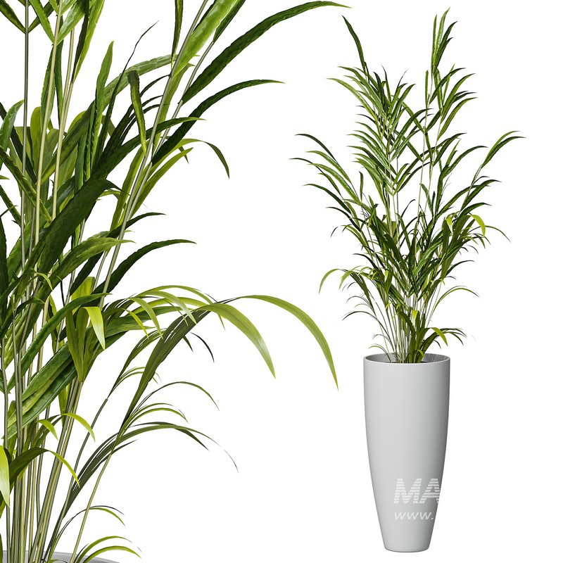 Flower set 10 - Image 1