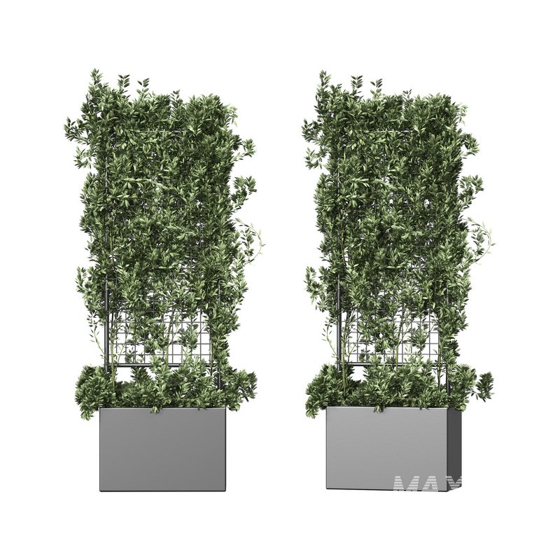 Botanical Planter 2 - Image 1