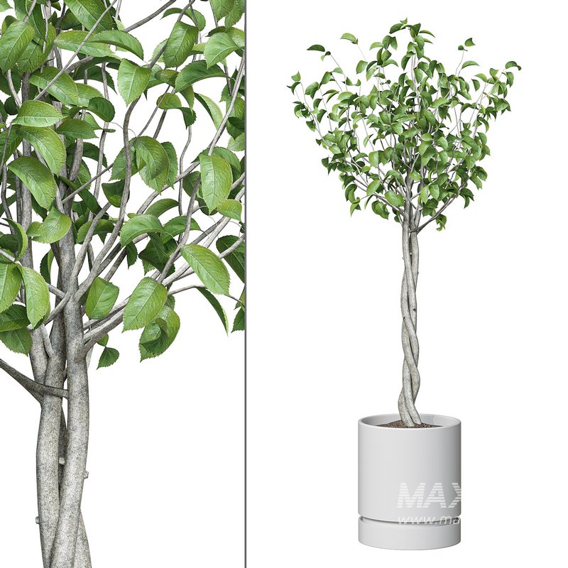 Flower set 11 - Image 1