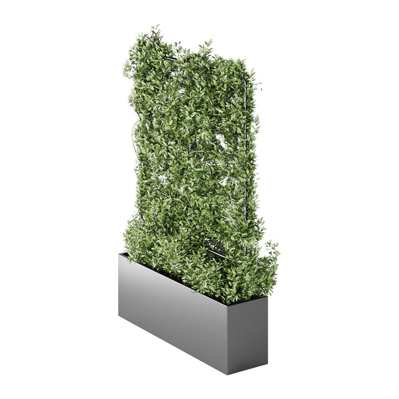 Botanical Planter 4 - Image 9