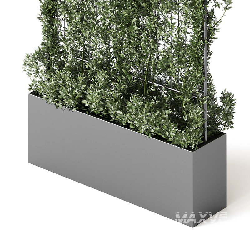 Botanical Planter 3 - Image 13