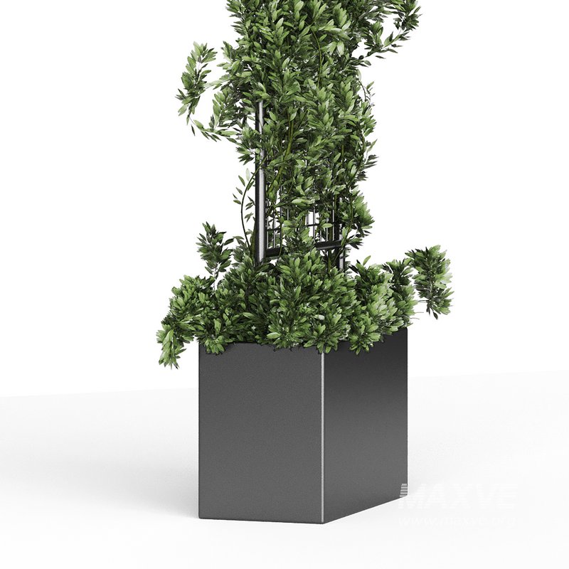 Botanical Planter 2 - Image 13