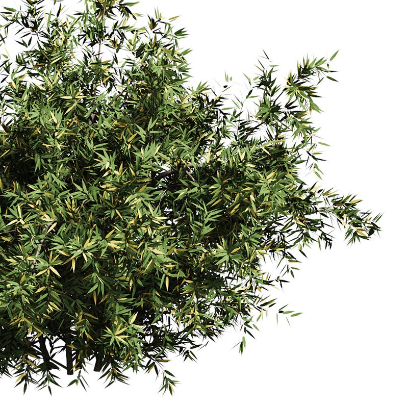 Natural Topiary Bush - Image 14