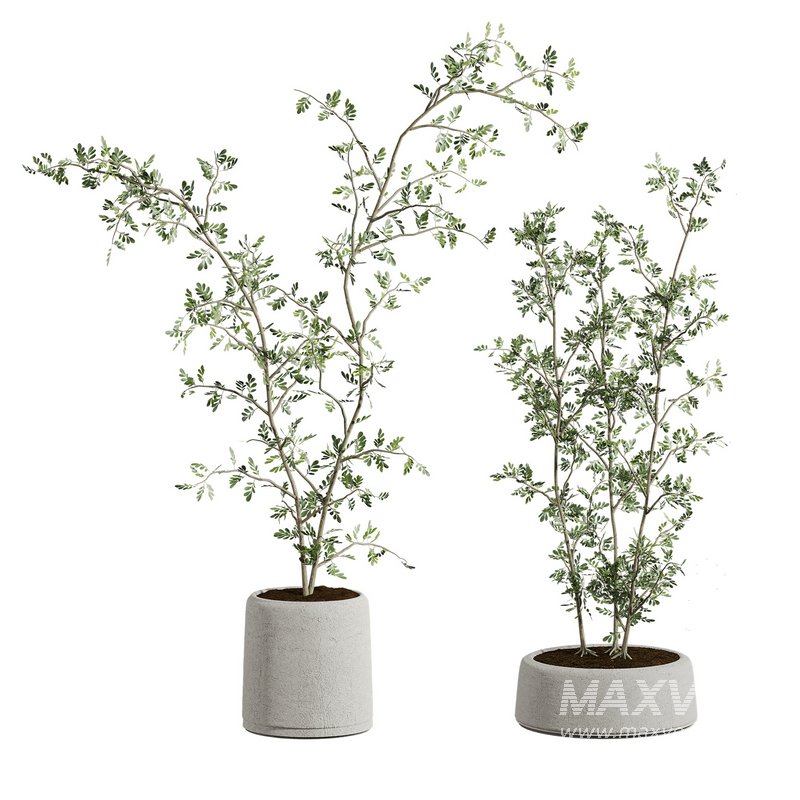 plants set 01 - Image 1