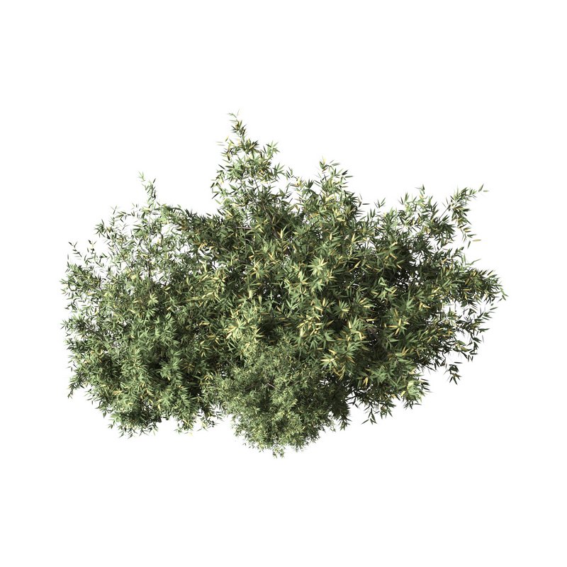 Natural Topiary Bush - Image 1