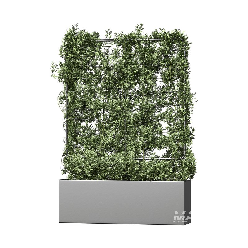 Botanical Planter 4 - Image 1
