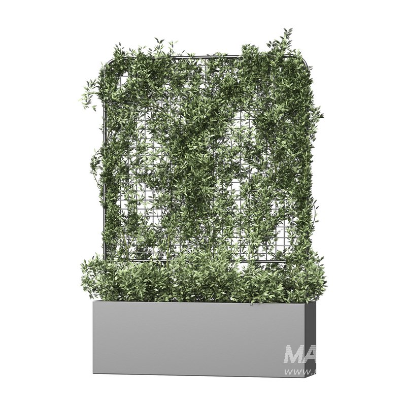 Botanical Planter 3 - Image 1
