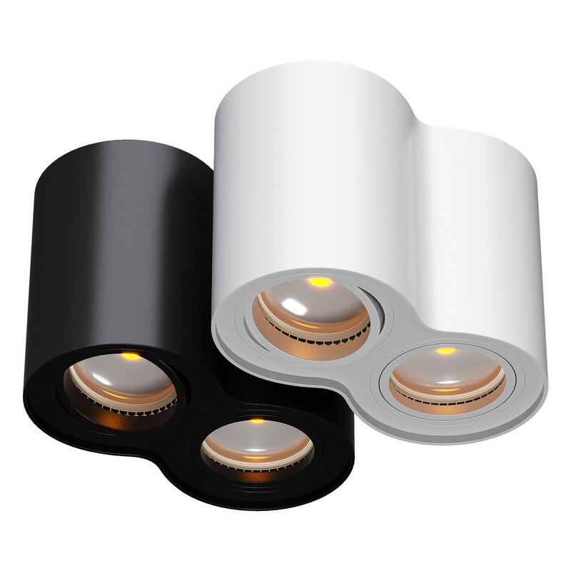 Double head - Image 4