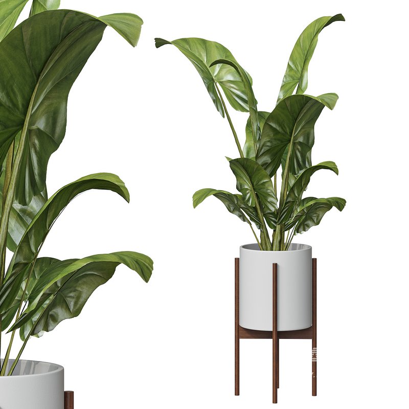 Flower set 05 - Image 1