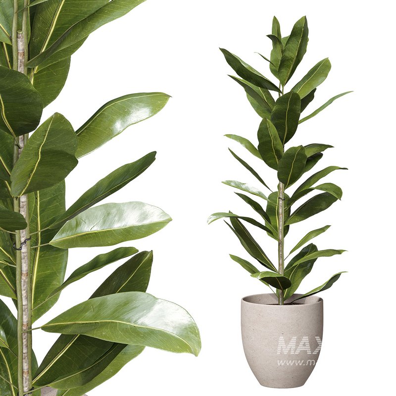 Flower set 09 - Image 1