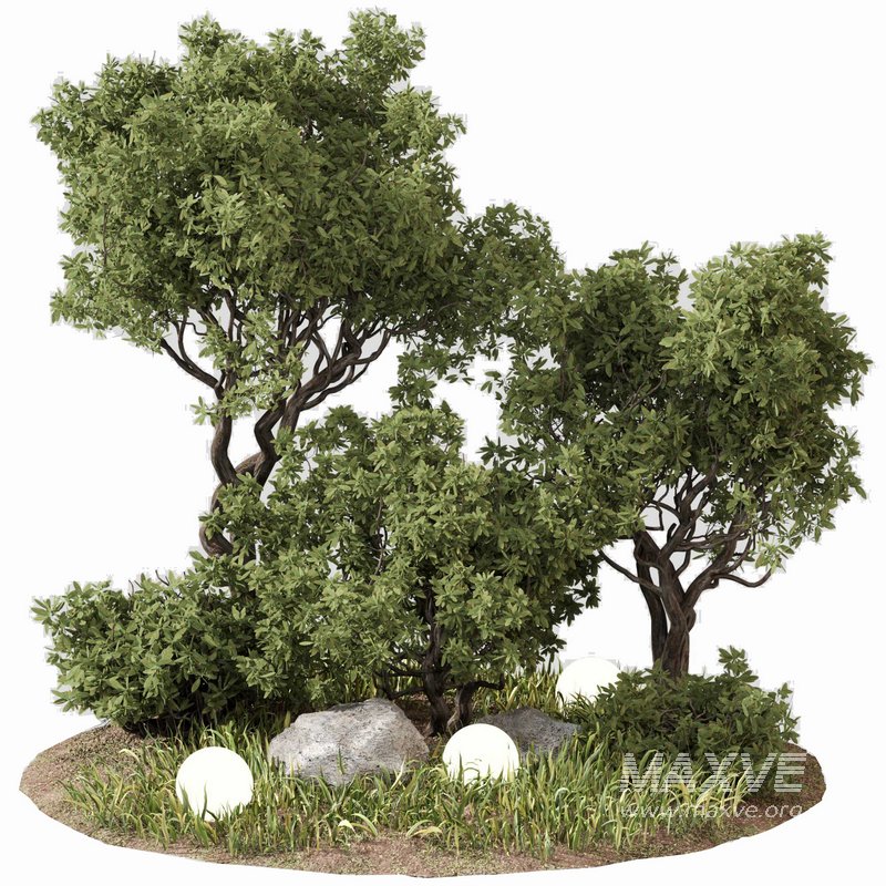 outdoor Plant Set 07 - Image 4