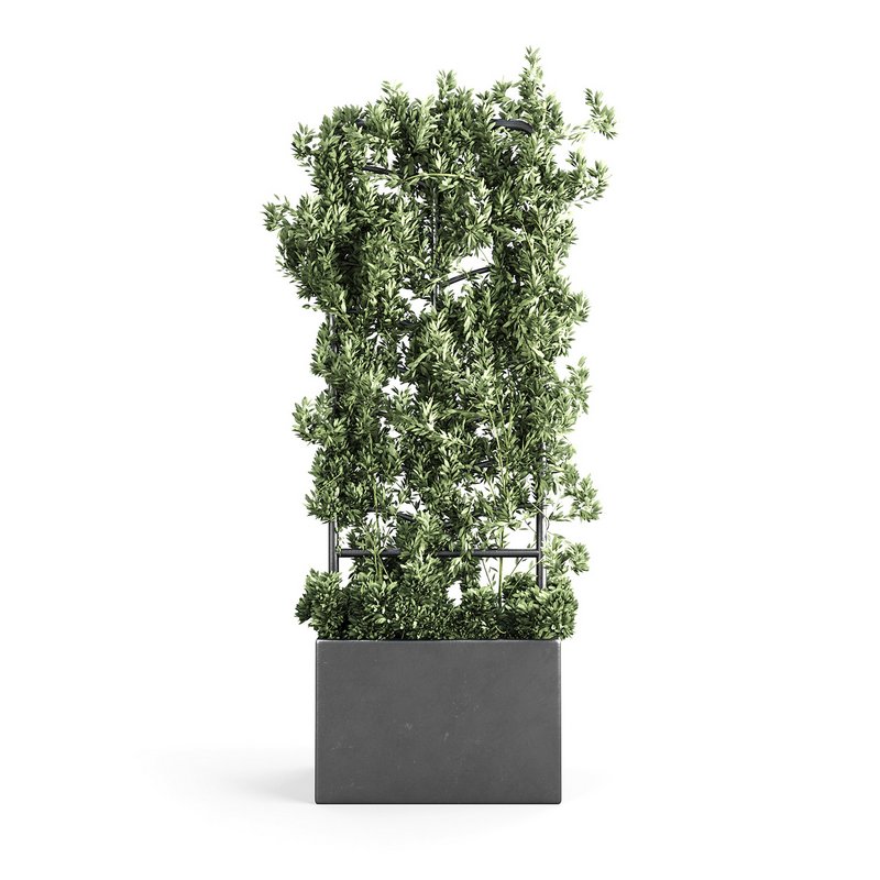 Botanical Planter - Image 1