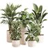 Indoor Plant Set 0117 - Thumbnail 1