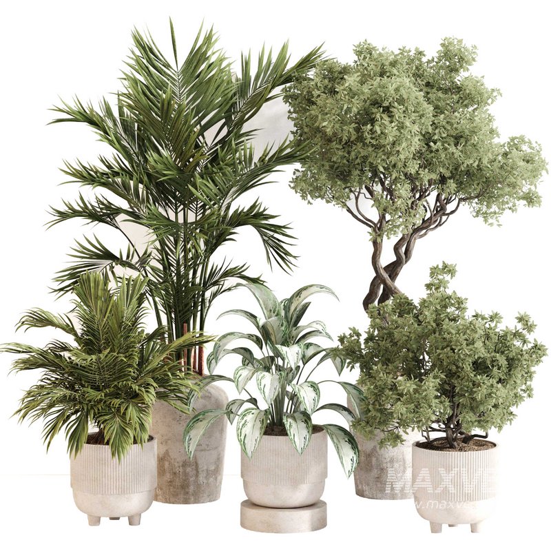 Indoor Plant Set 0123 - Image 1
