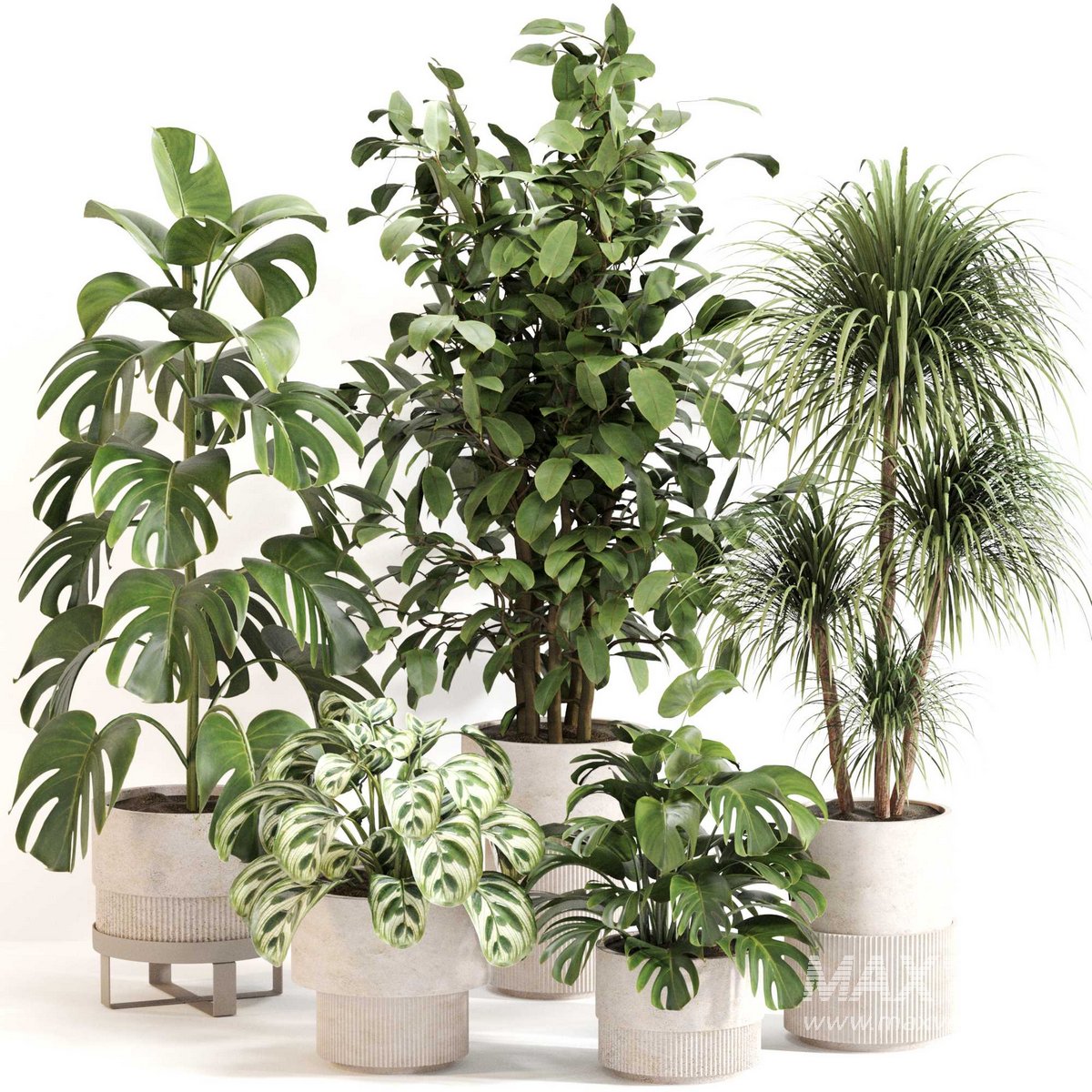 Indoor Plant Set 0113 - Image 1