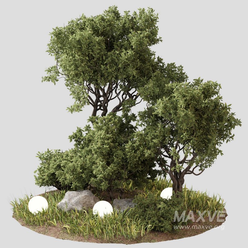 outdoor Plant Set 07 - Image 1