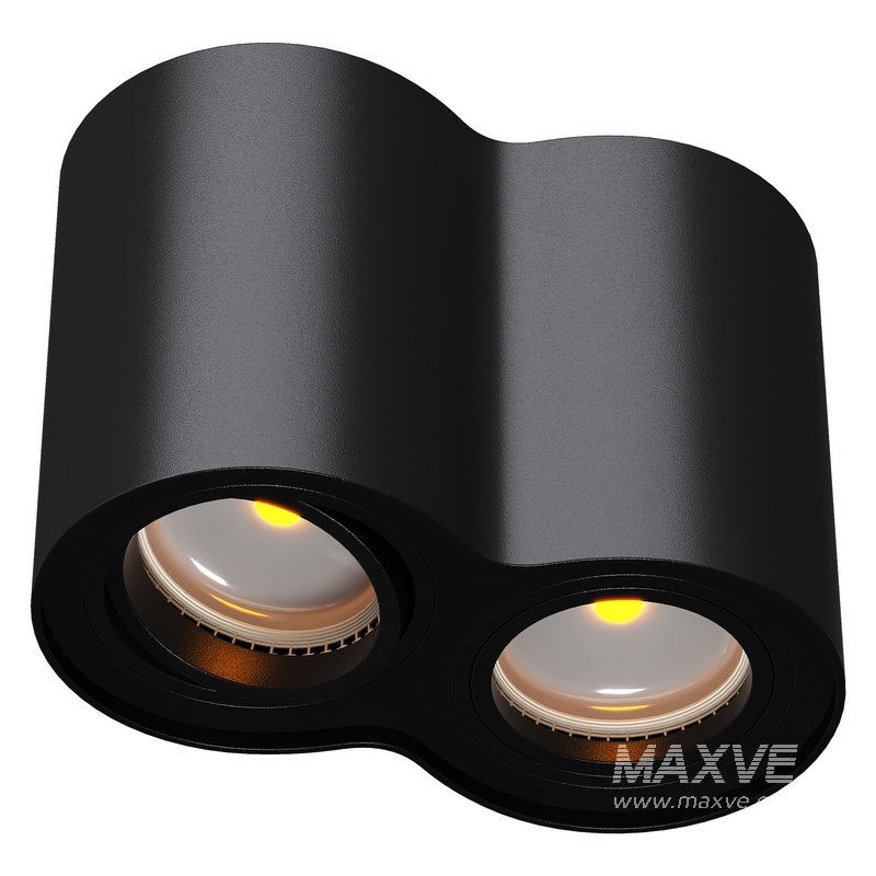 Double head - Image 2