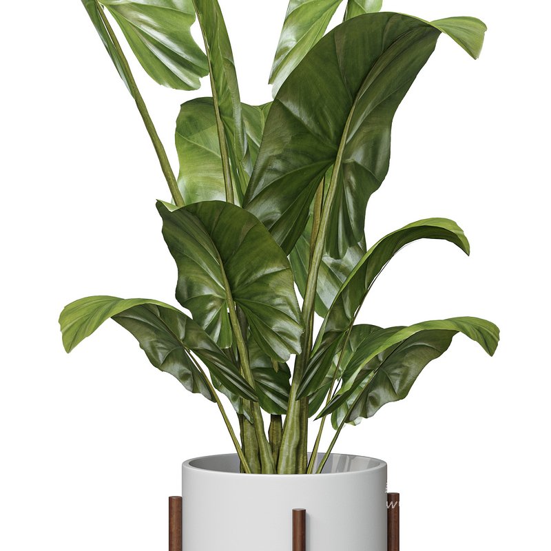 Flower set 05 - Image 2