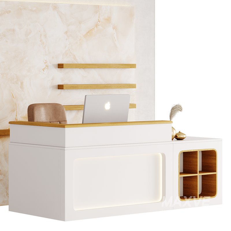 Contemporary Reception 11 - Image 3