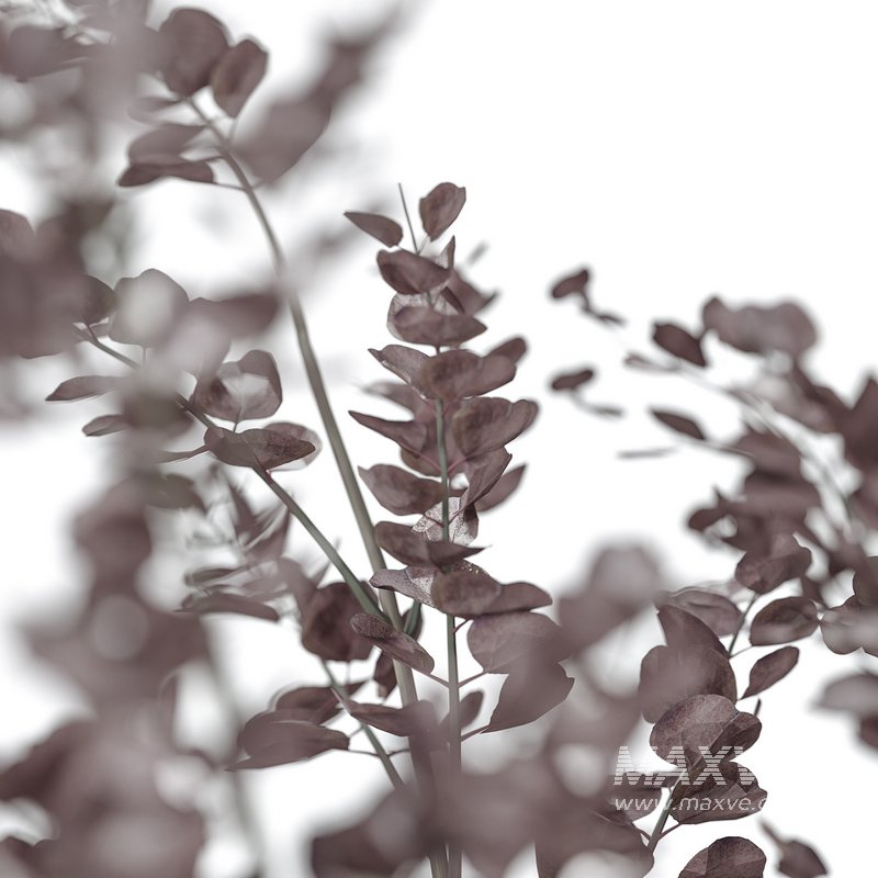 Flower set 3 - Image 2