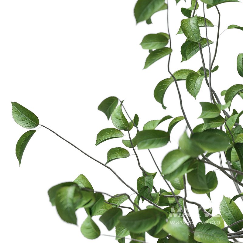 Flower set 11 - Image 2