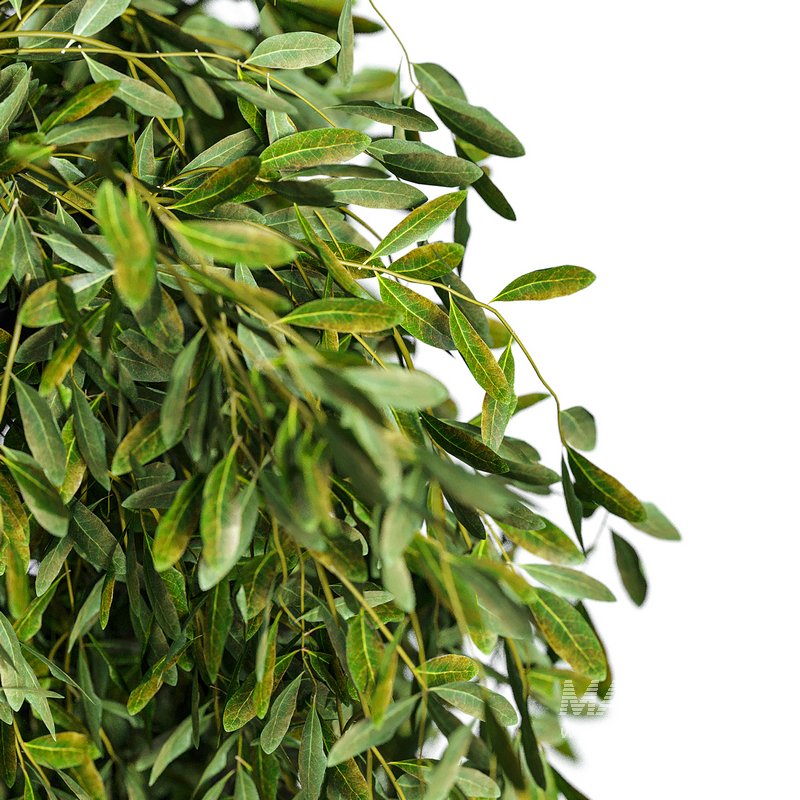 Flower set-14 - Image 2