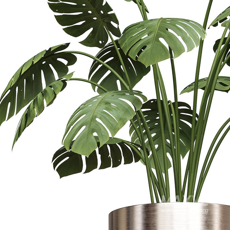 Flower set 02 - Image 2