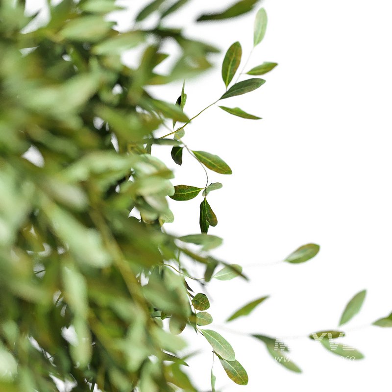 Flower set 13 - Image 2