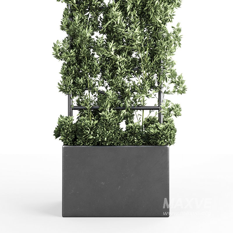 Botanical Planter - Image 3