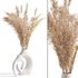 Pampas Bouquet - Thumbnail 1