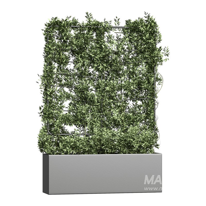 Botanical Planter 4 - Image 2