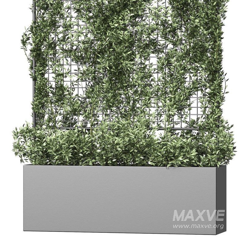 Botanical Planter 3 - Image 2