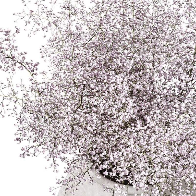 Flower set 07 - Image 2