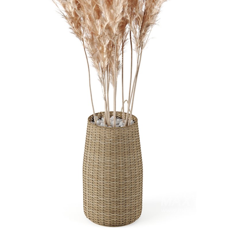 Pampas Decoration with Natural basket - Image 3
