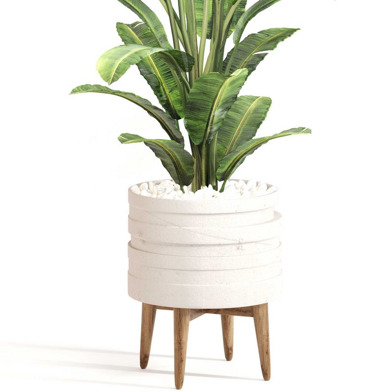 Indoor Plant Set 0128 - Image 3