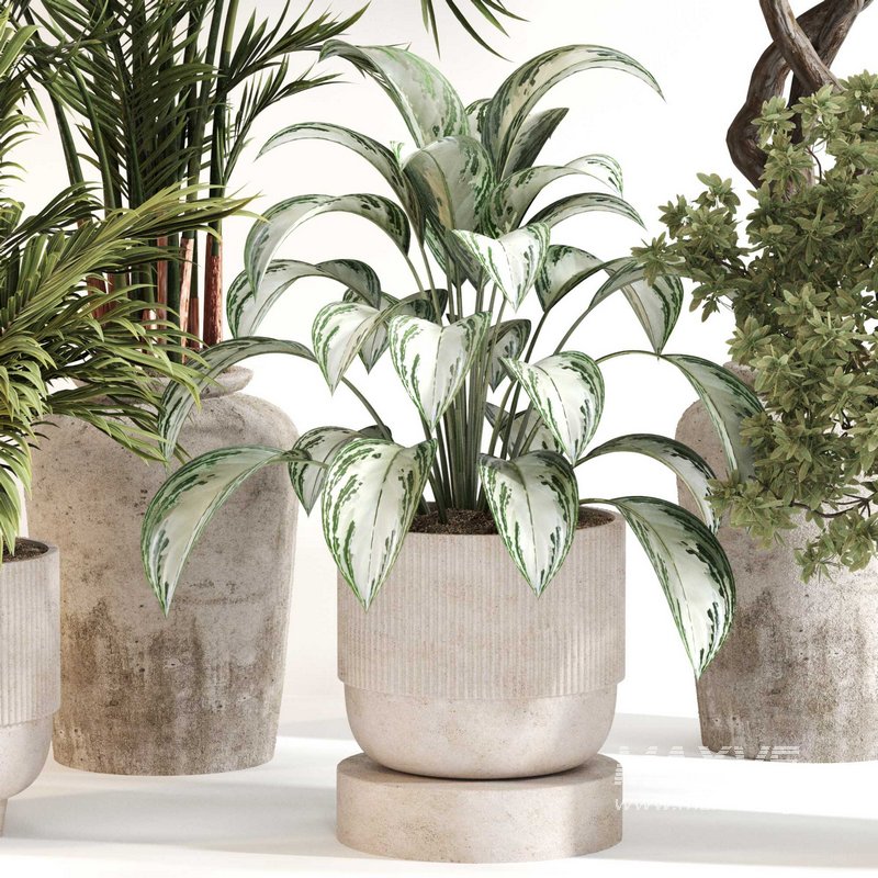 Indoor Plant Set 0123 - Image 2