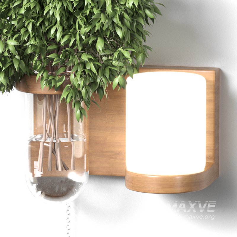 Isla Wall Mounted Lamp & Glass Vase - Image 2