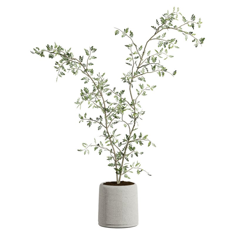 plants set 01 - Image 3