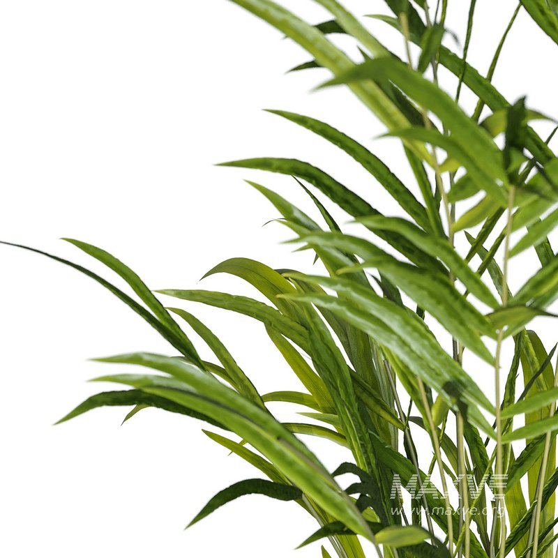 Flower set 10 - Image 2