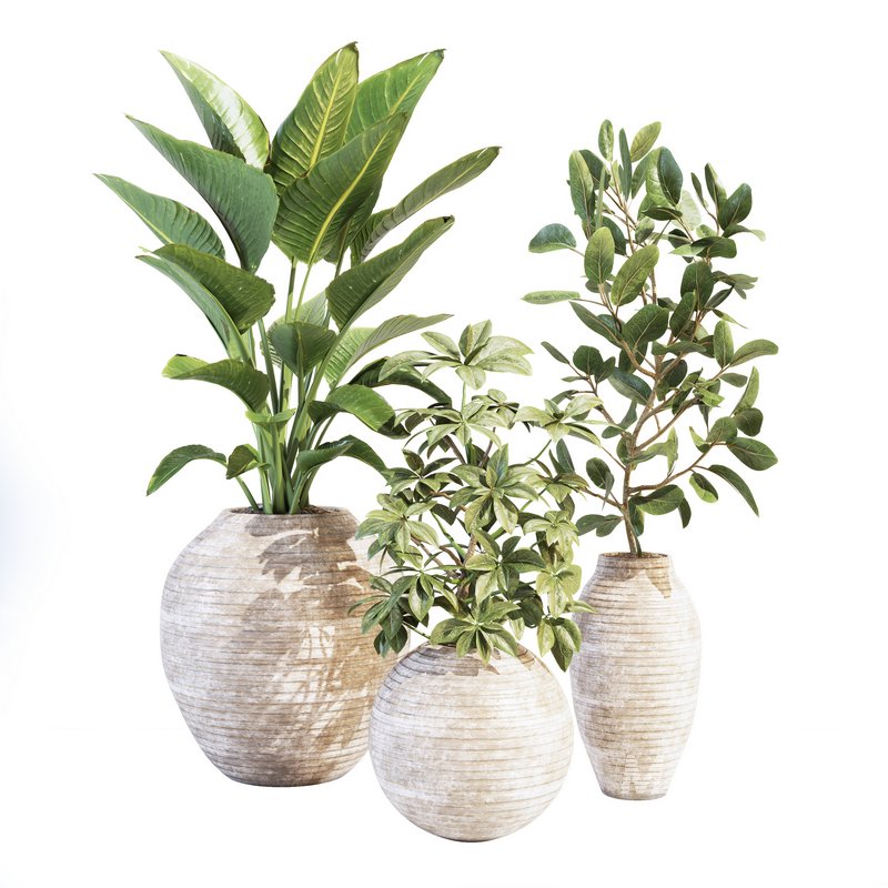 Plant_Set02 - Image 1