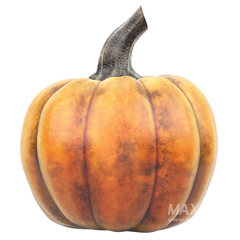 halloween pumpkin - Image 4