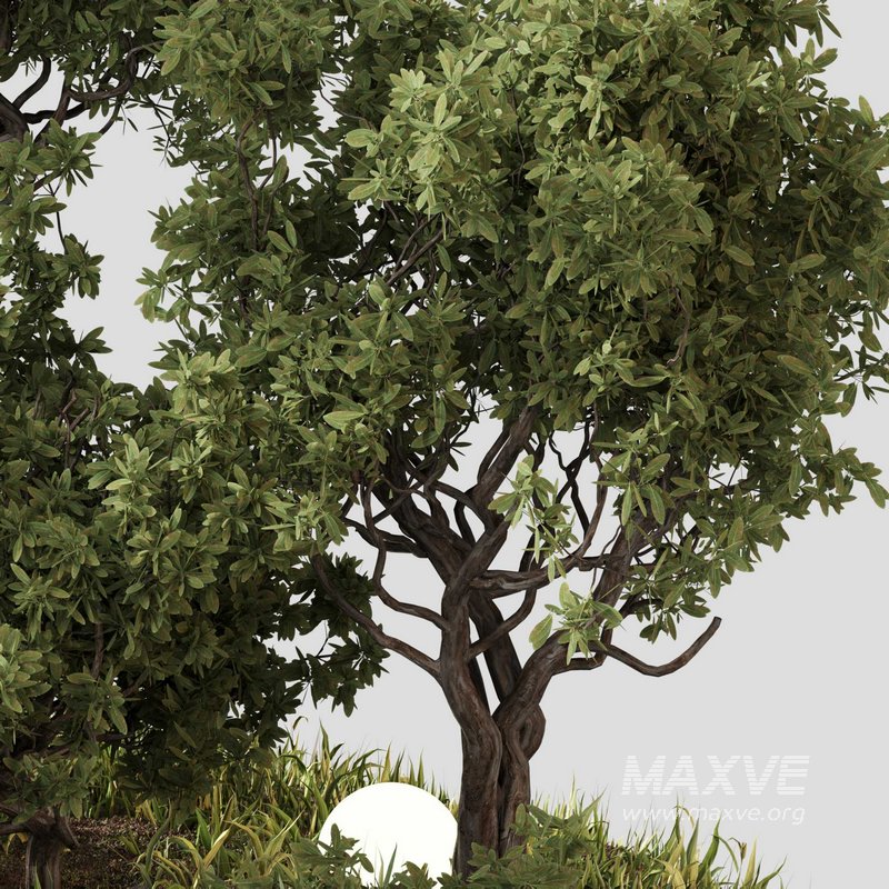 outdoor Plant Set 07 - Image 2