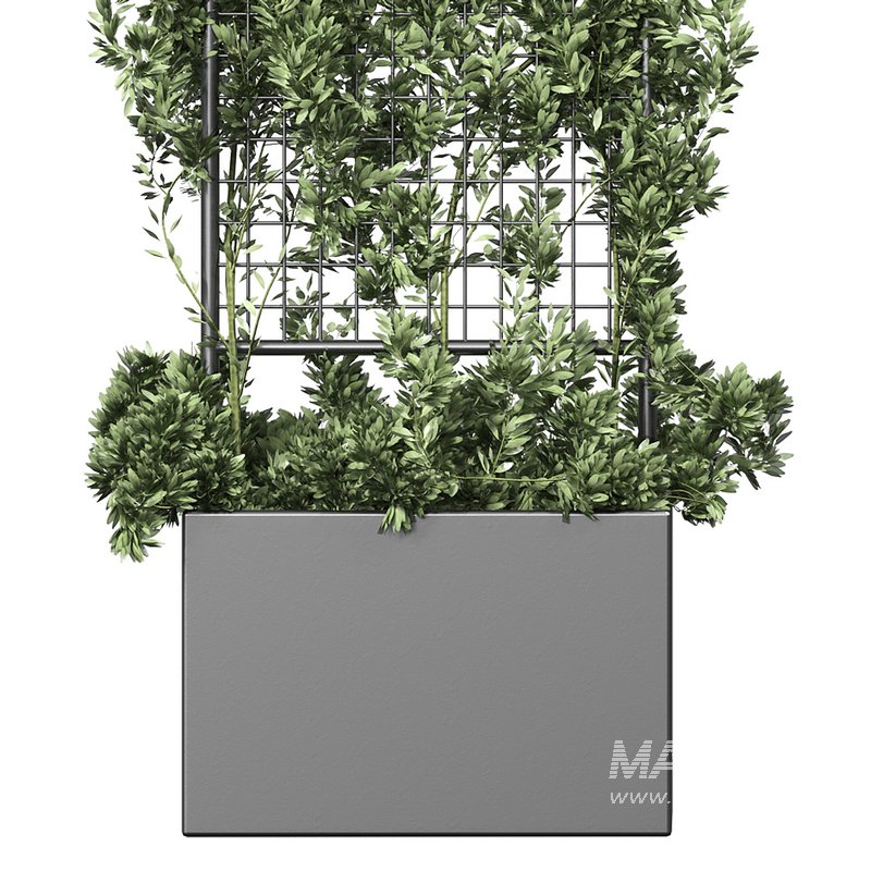 Botanical Planter 2 - Image 3