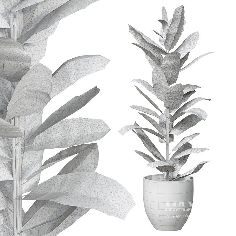 Flower set 09 - Image 3