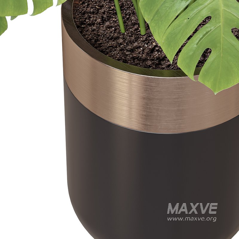 Flower set 02 - Image 3