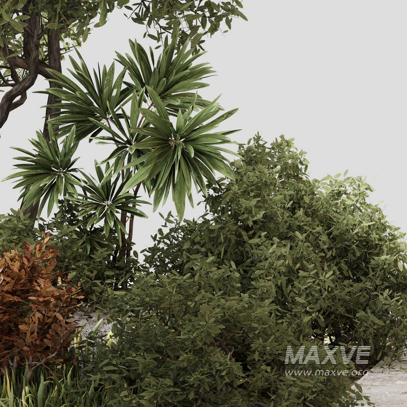 outdoor Plant Set 05 - Image 2