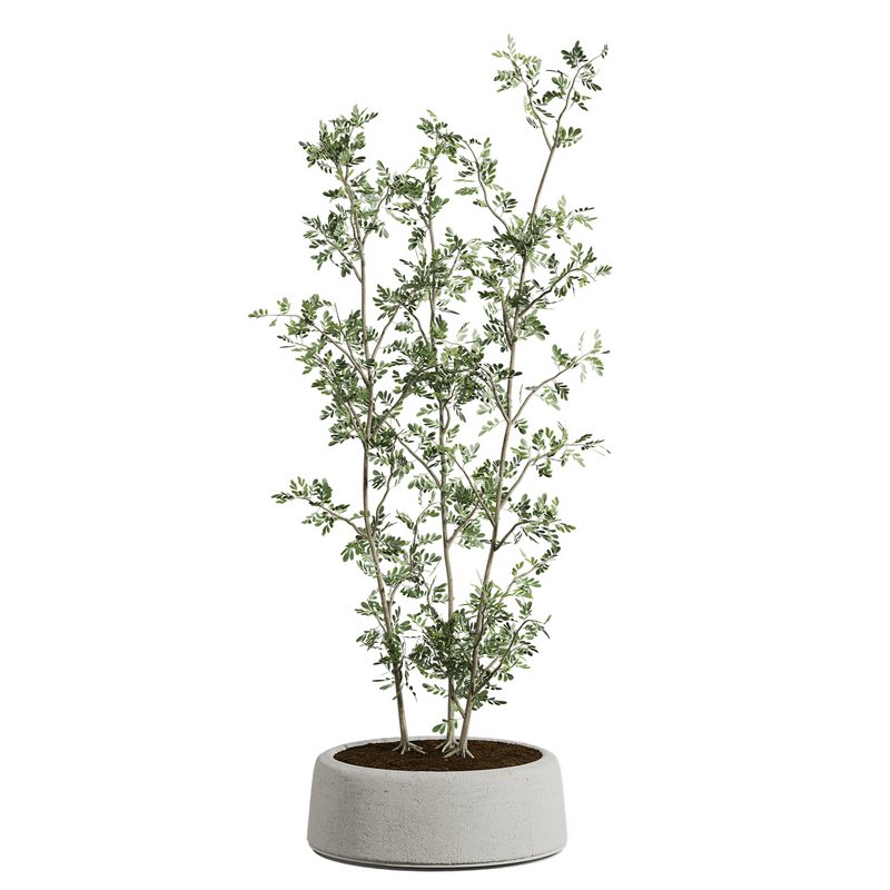 plants set 01 - Image 2