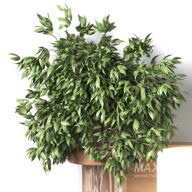 Isla Wall Mounted Lamp & Glass Vase - Image 5