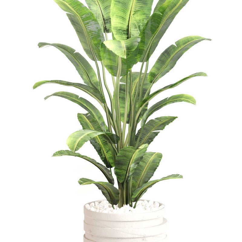 Indoor Plant Set 0128 - Image 2