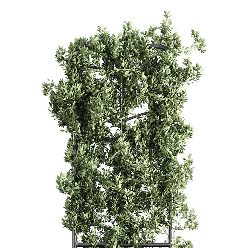 Botanical Planter - Image 2